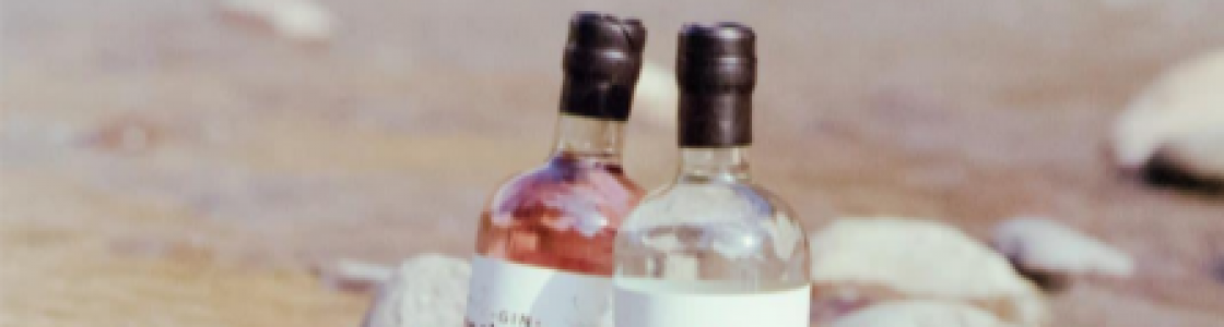 gin provincia 1 gin provincia 1